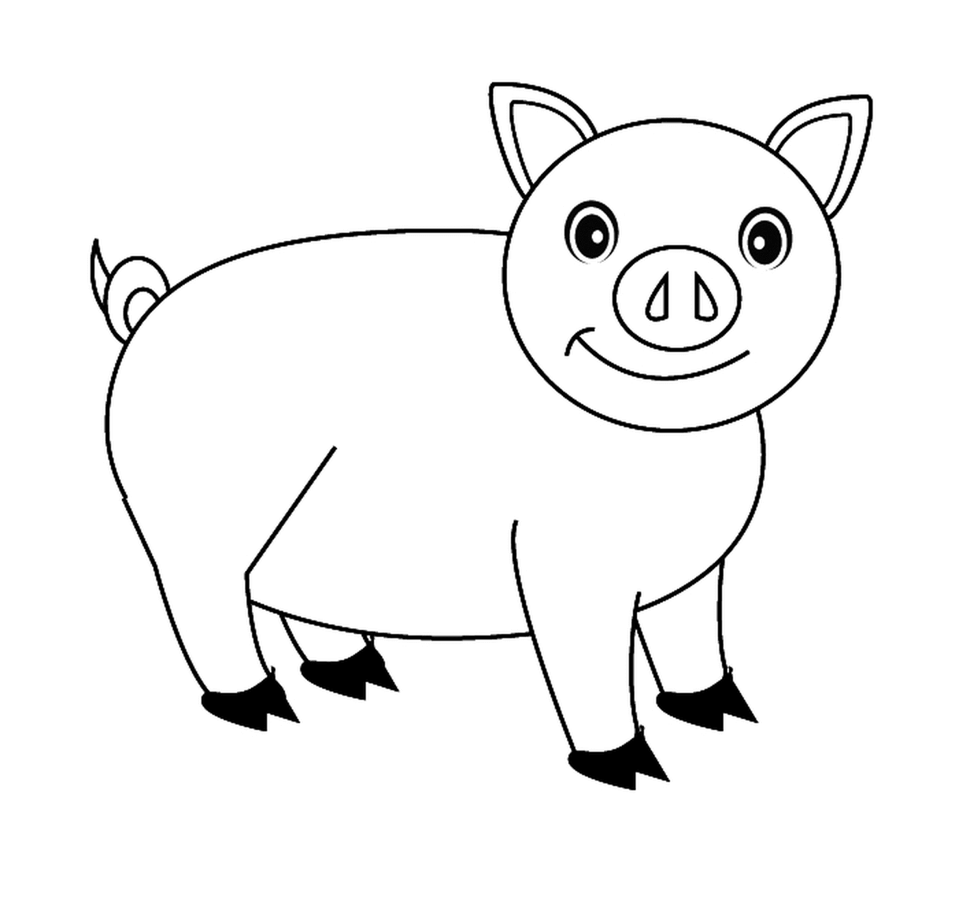  A cute pig 