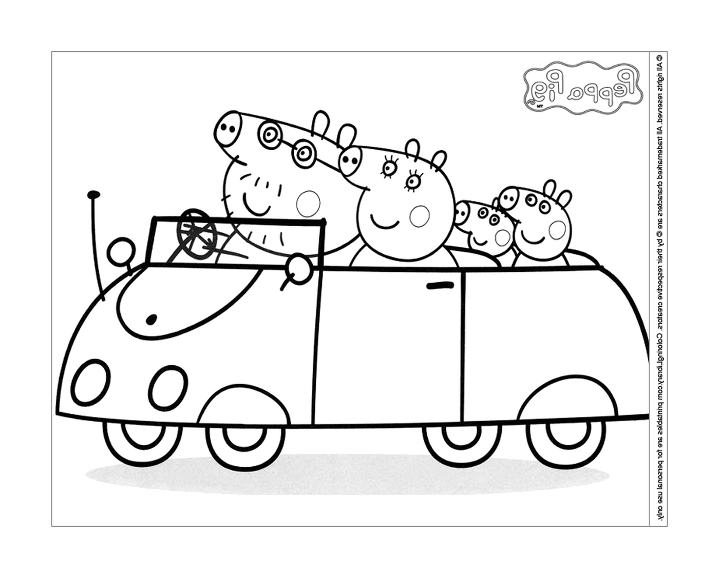  Three pigs in a car 