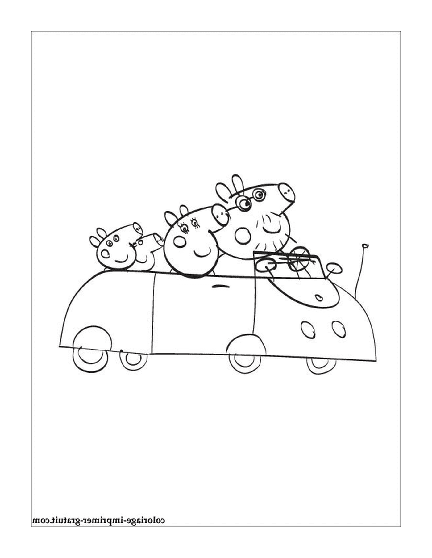  Three cows in a car 