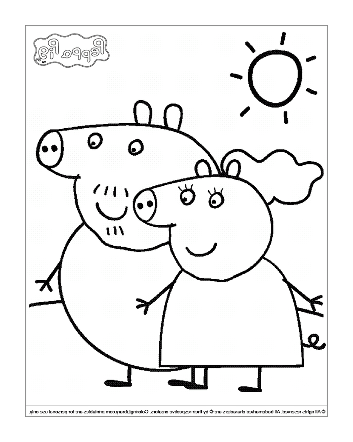 A couple of pigs standing in a field 