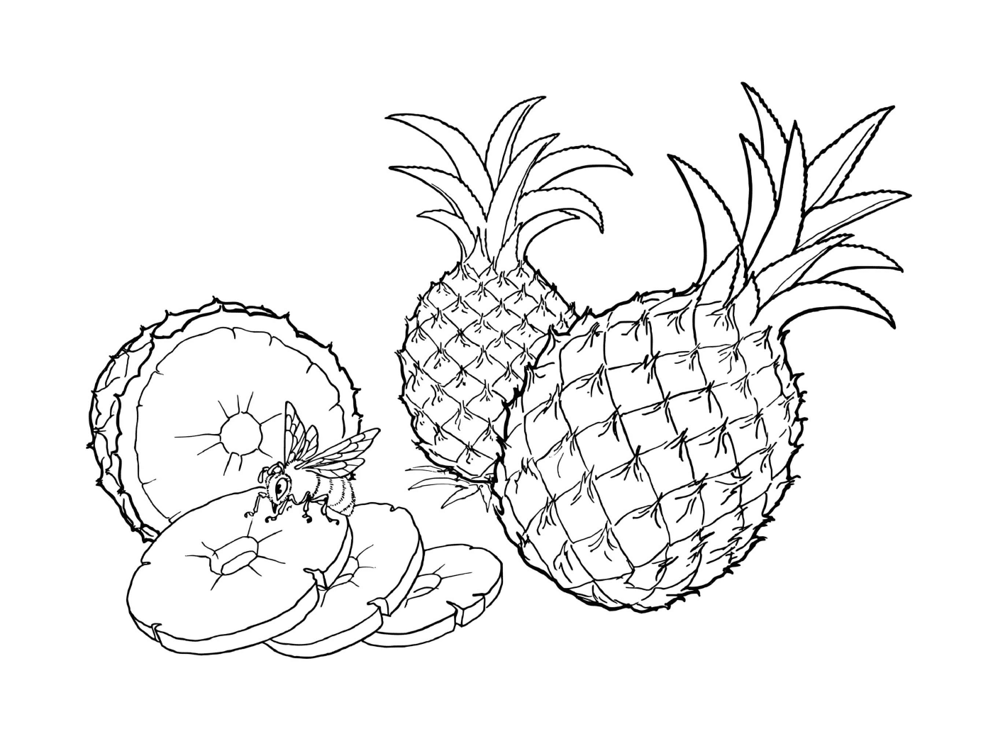  A realistic pineapple cut out of fruit 