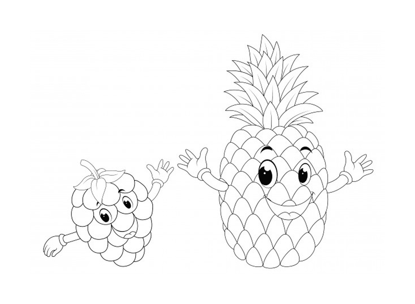  Ananas und Himbeere 