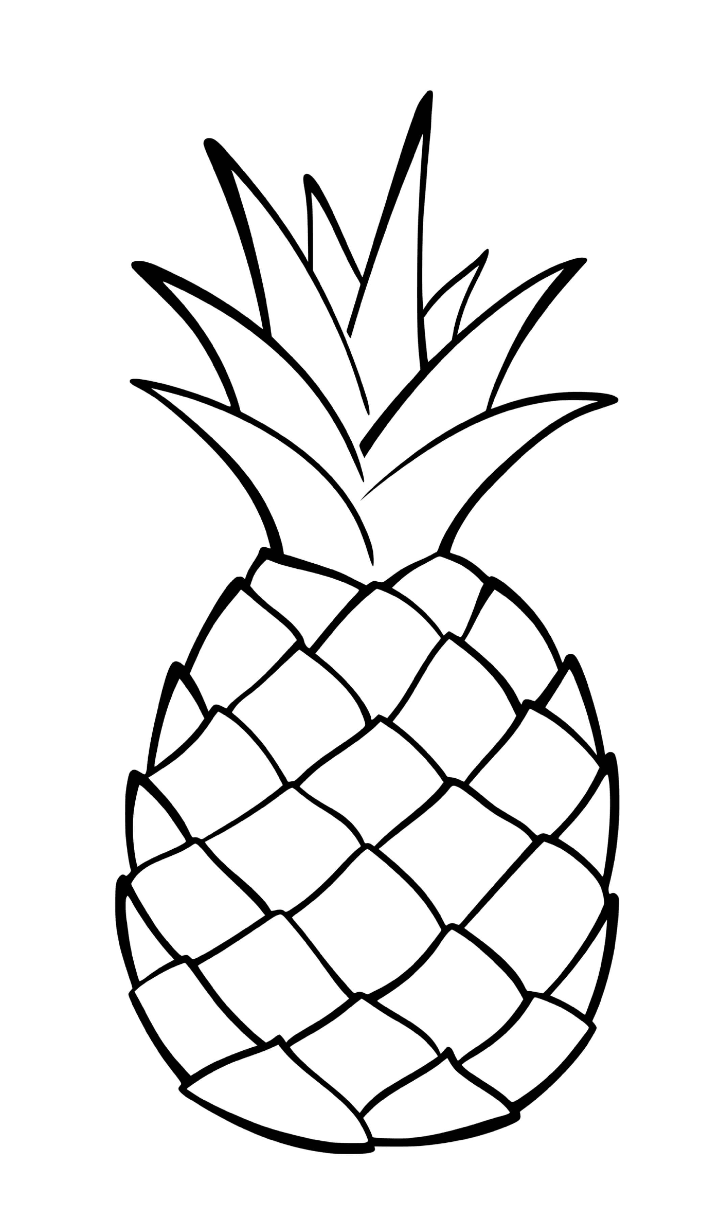  Eine exotische Frucht namens Ananas 