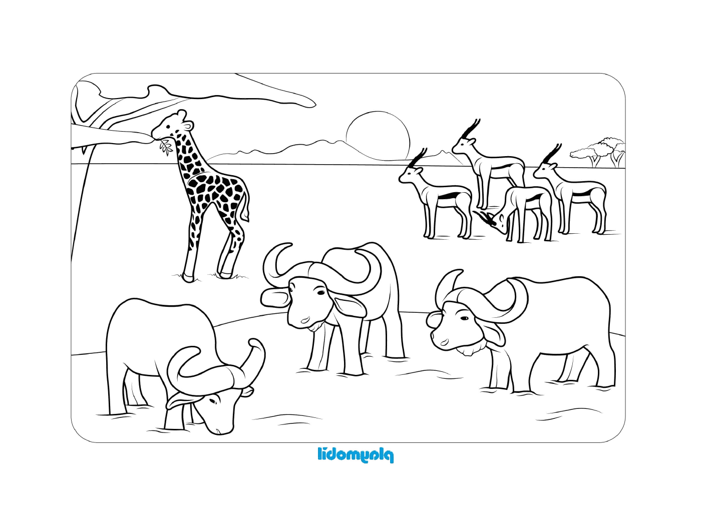  Various animals in this image 