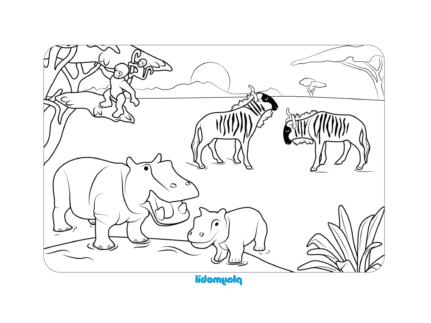  Zebra und Hippopotamus in einem Feld 