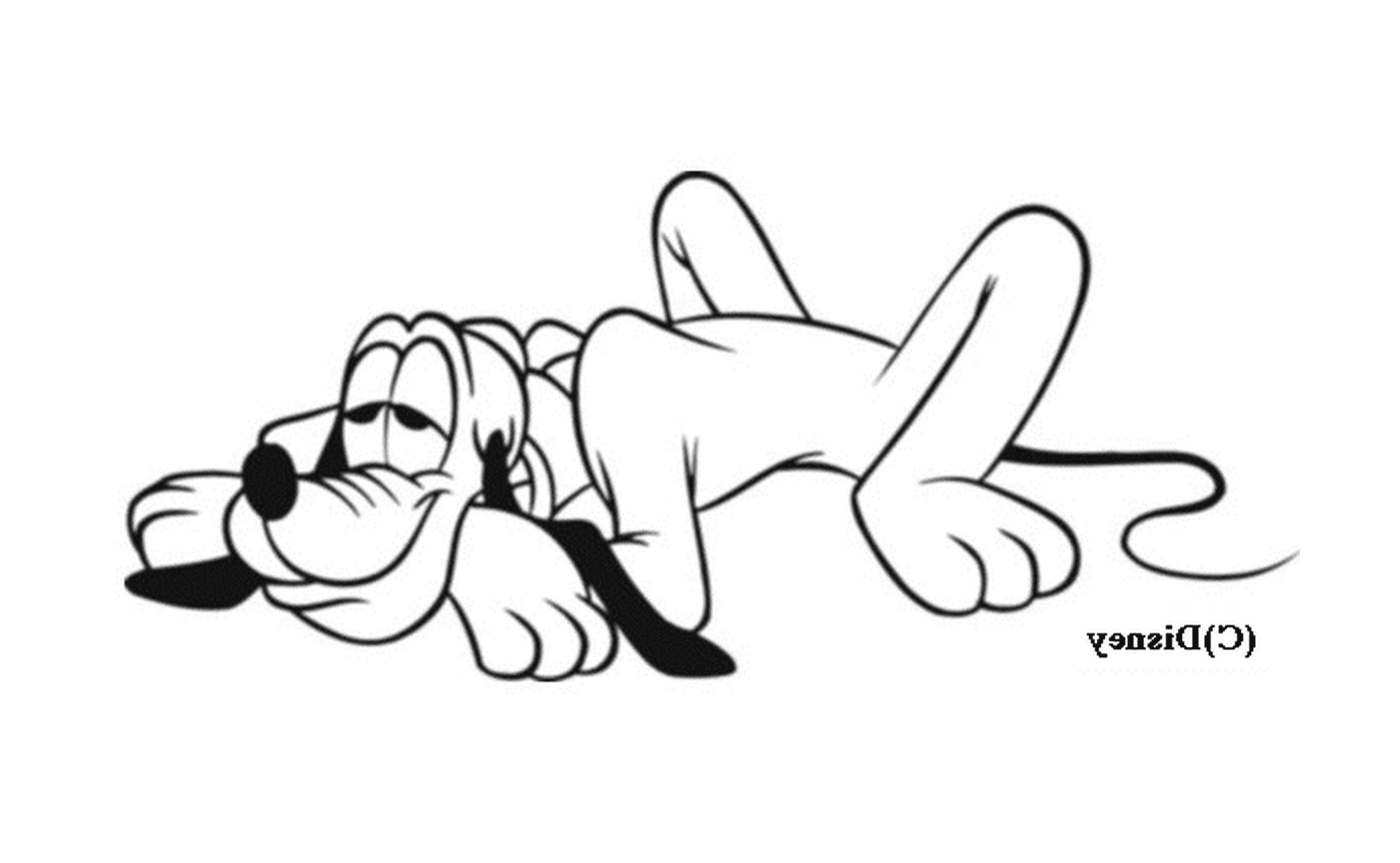  Счастливая собака, лежащая на полу с ручкой во рту 