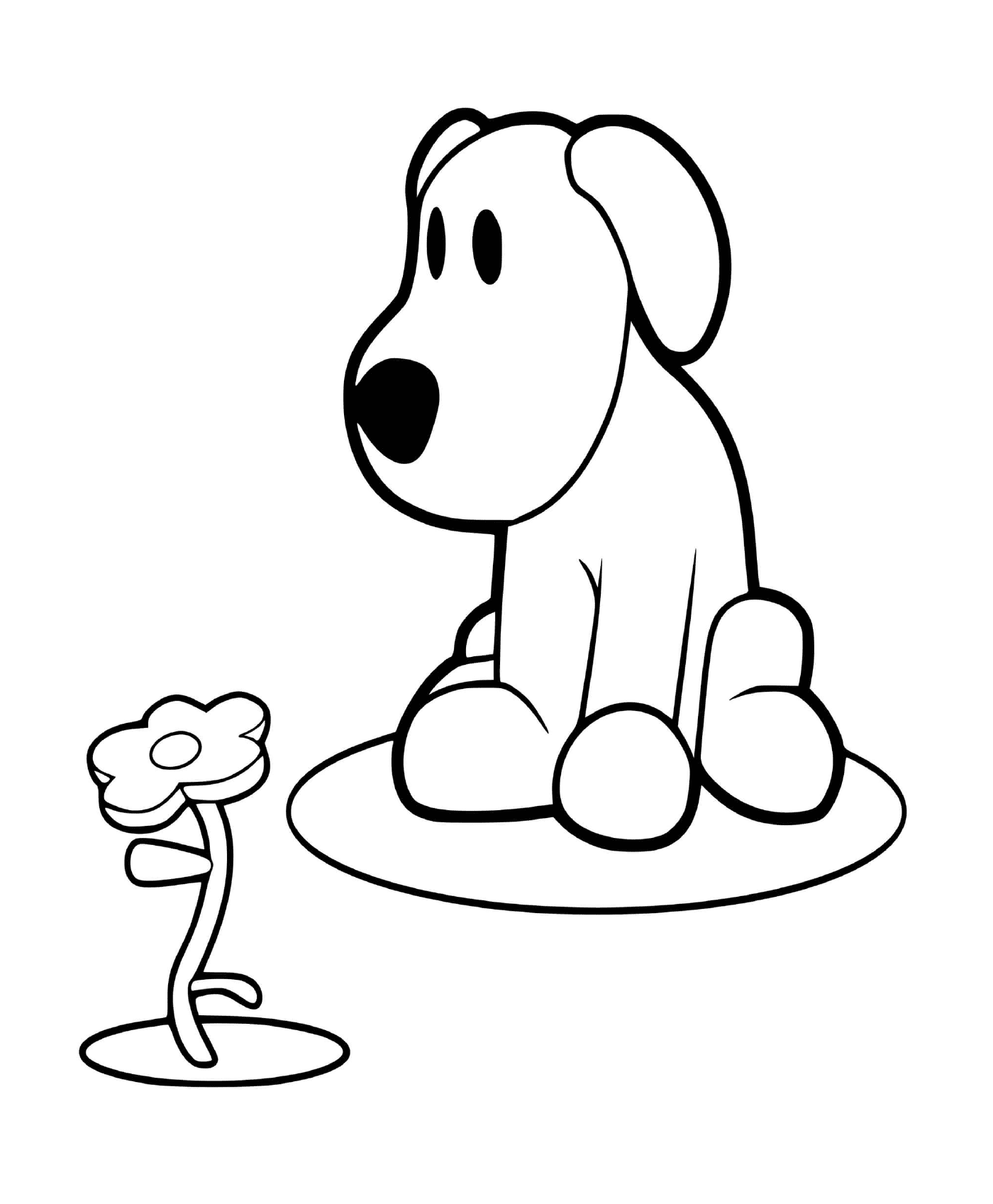  Hund und Blume 