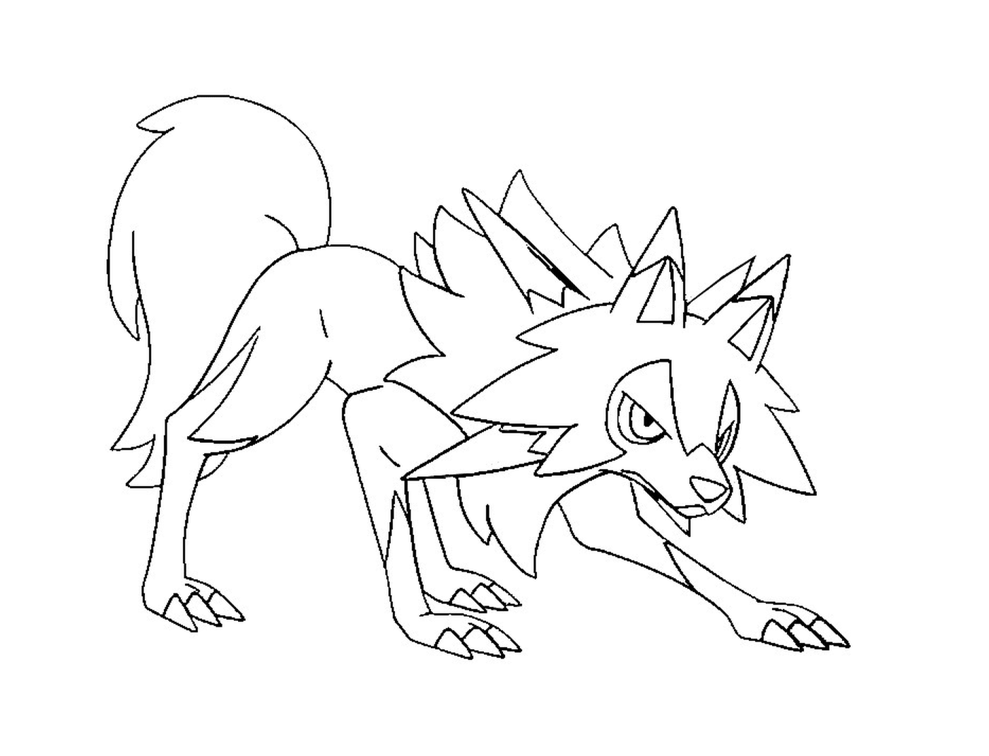  Lougaroc Tagesform, ein Wolf mit spitzen Schwanz 