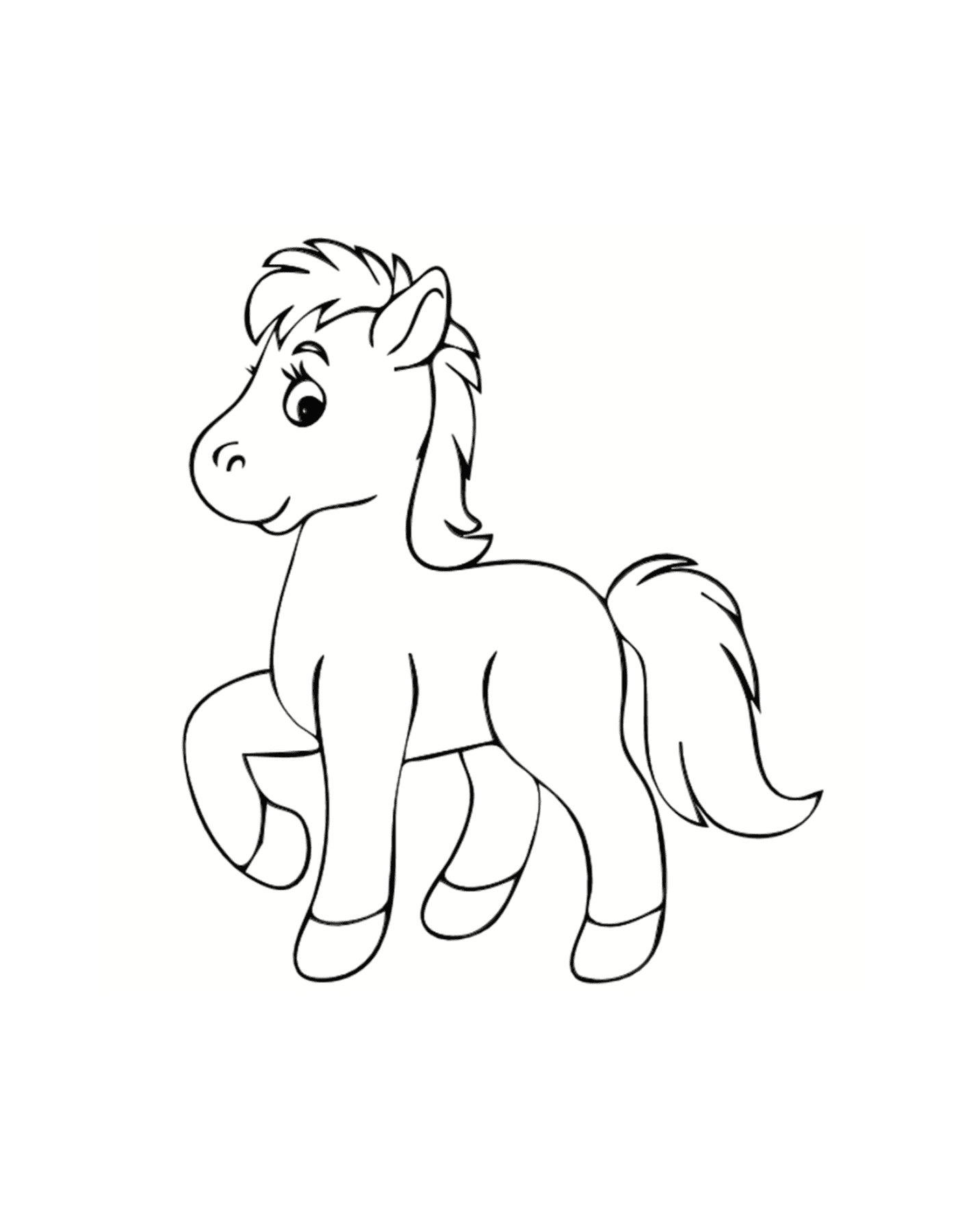  Pony piccolo, adorabile cavallo in miniatura 