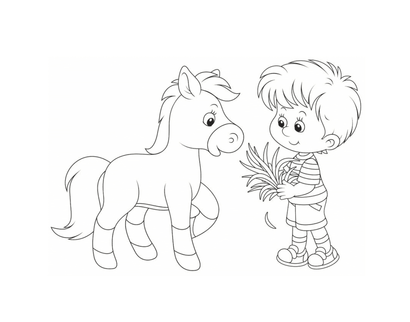  Precautionary feeding boy pony 