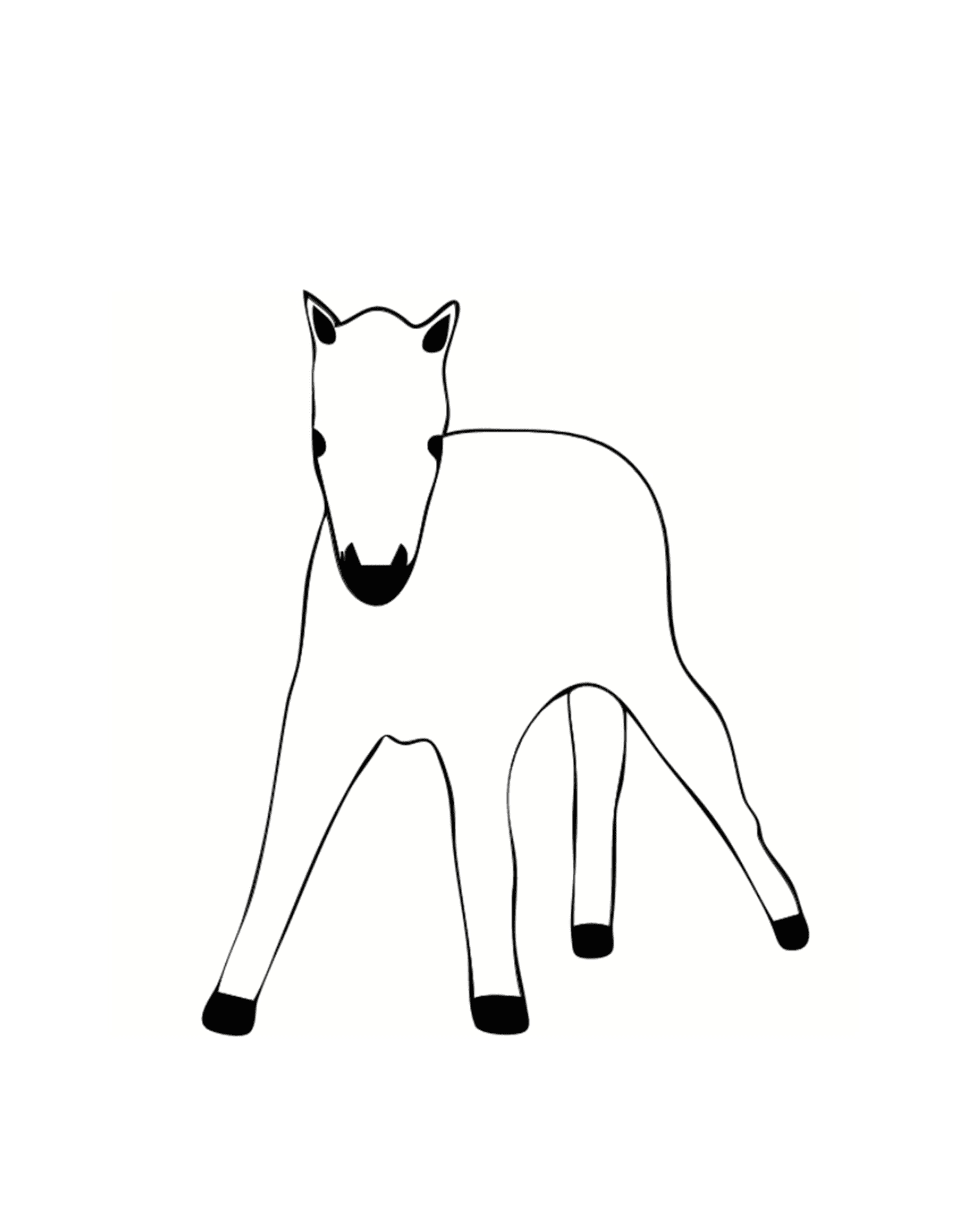  Poulain, giovane pony pieno di vita 
