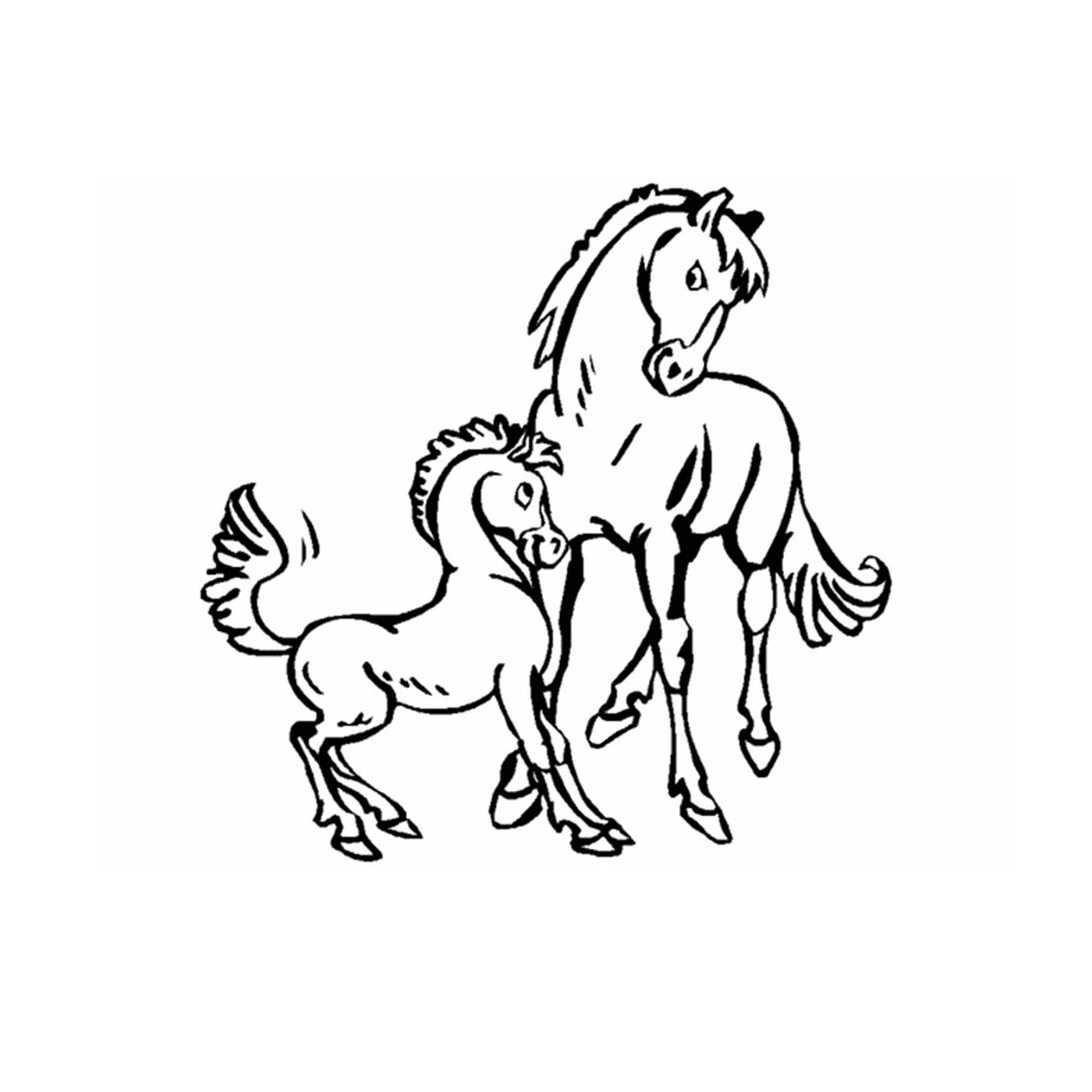  Pony und Pferde, zarte Familienbindung 