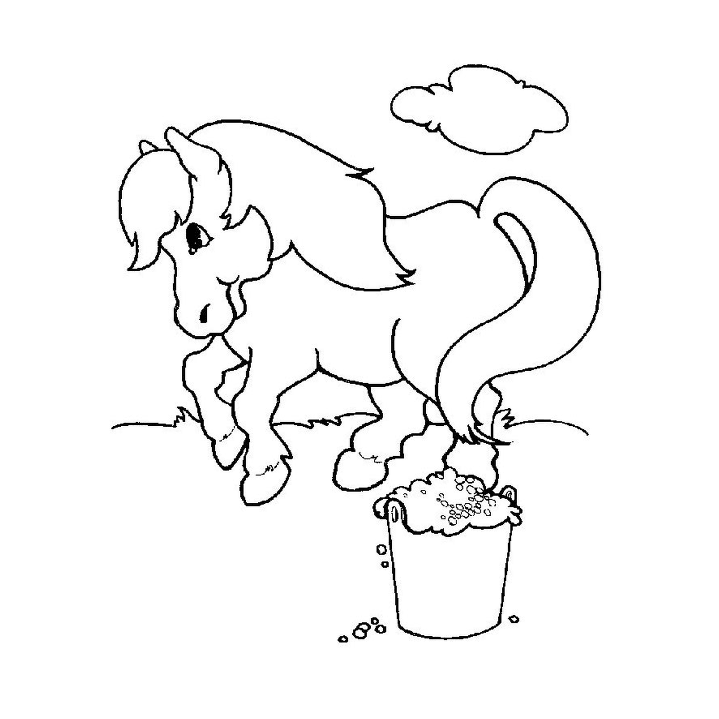 horse next to bucket 