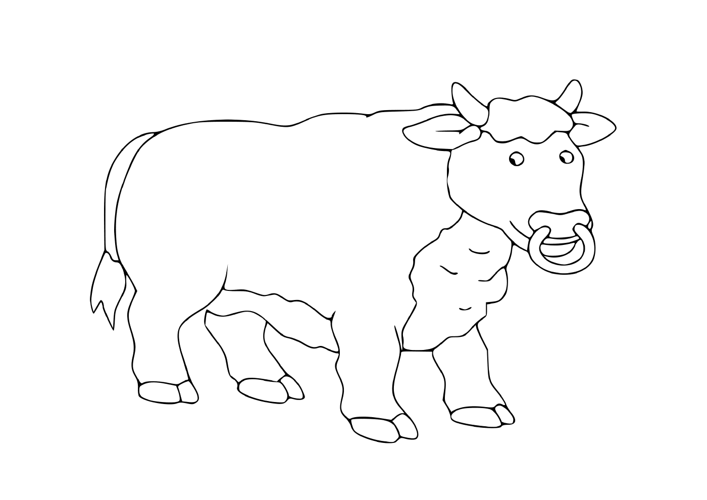  A majestic and proud bull 
