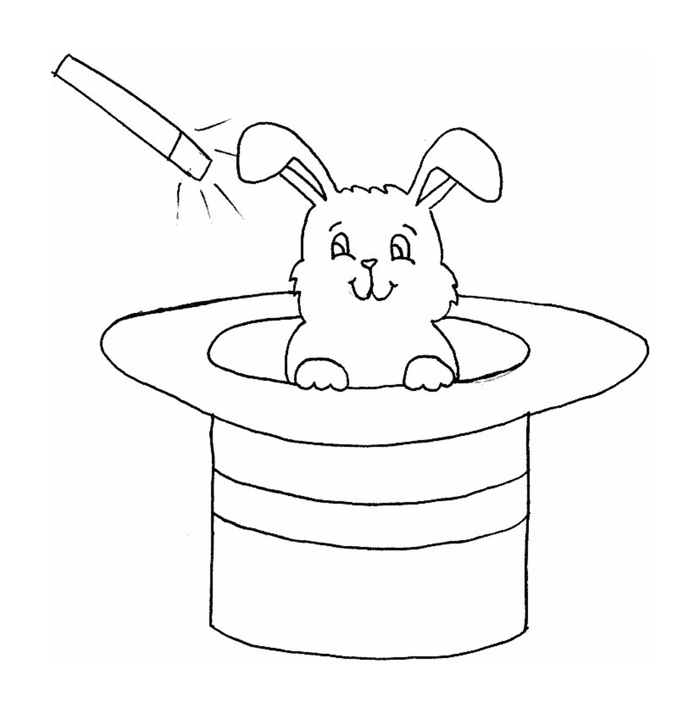  Coniglio seduto in un cilindro 