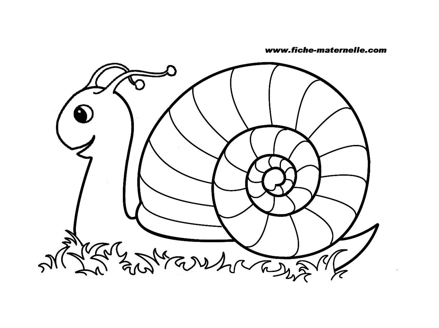  Slow and curious snail 