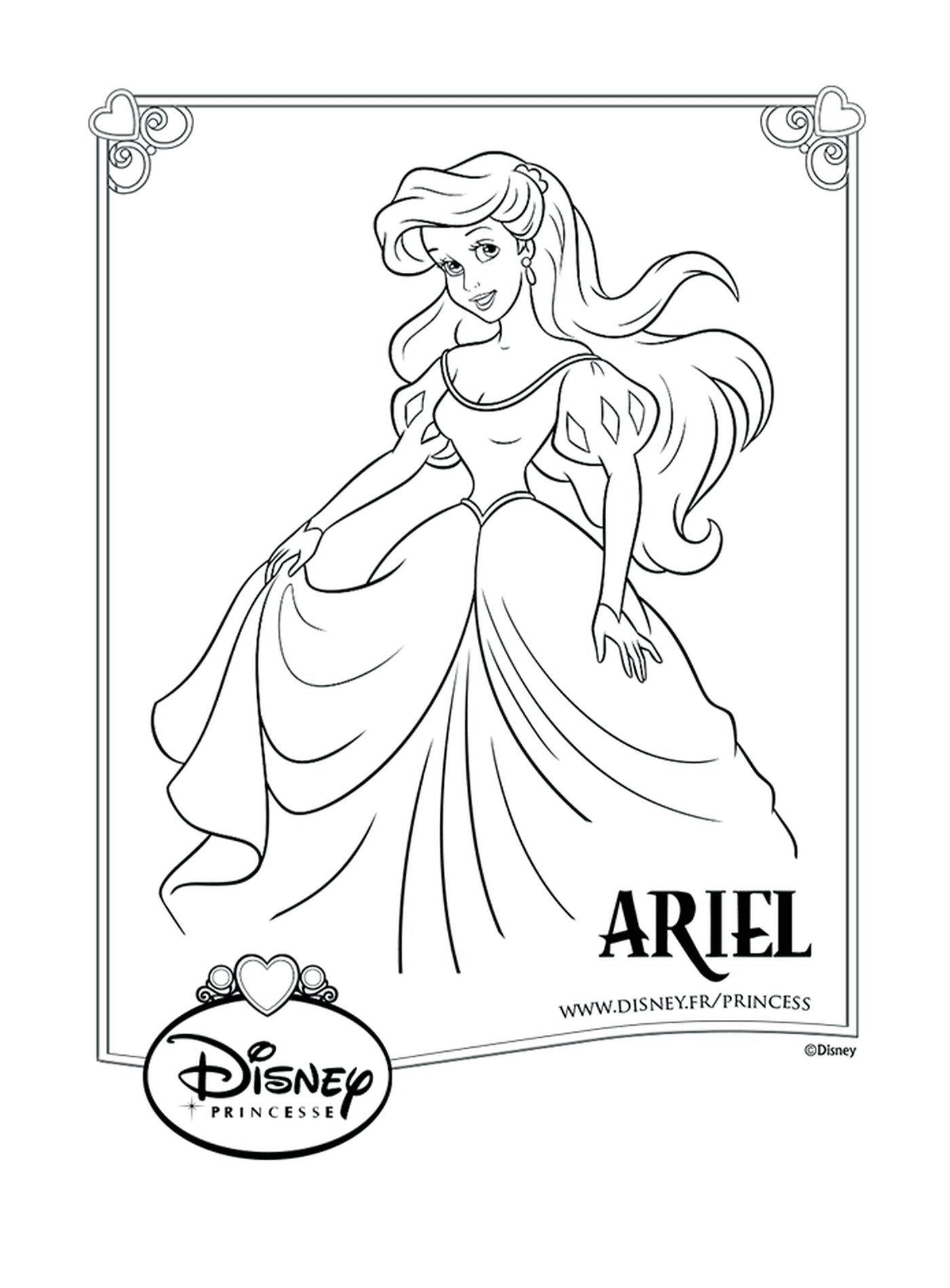 Ariel, a long-haired girl 