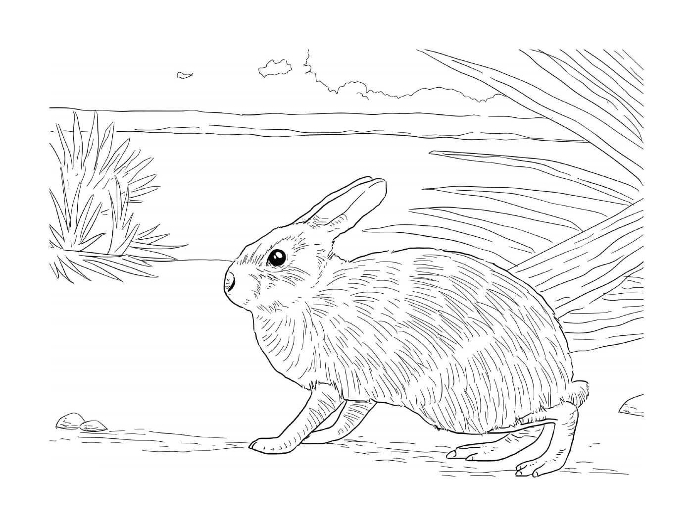  Realistic rabbit in a natural setting 