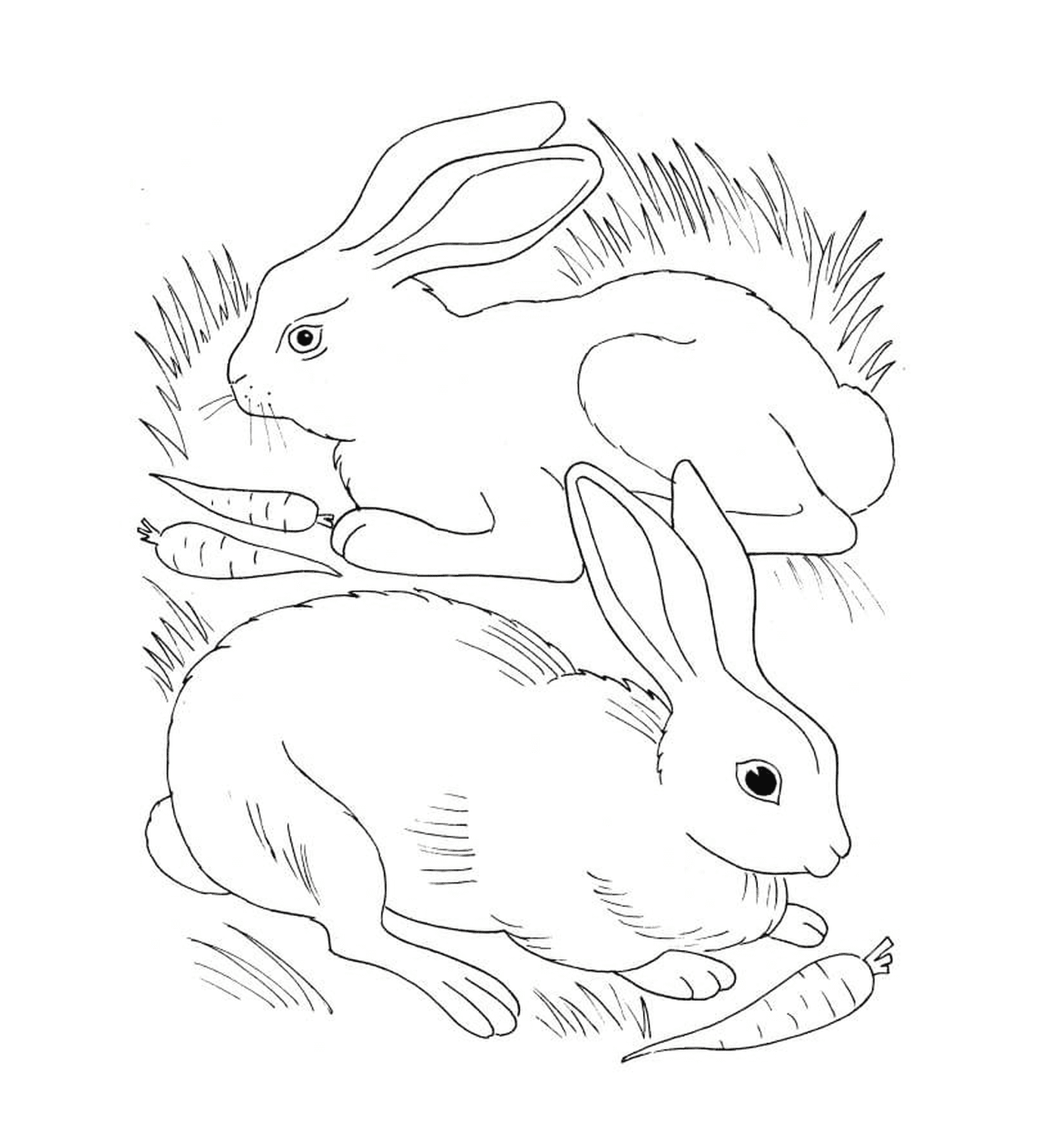  Kaninchen und Kaninchen, die Karotten essen 