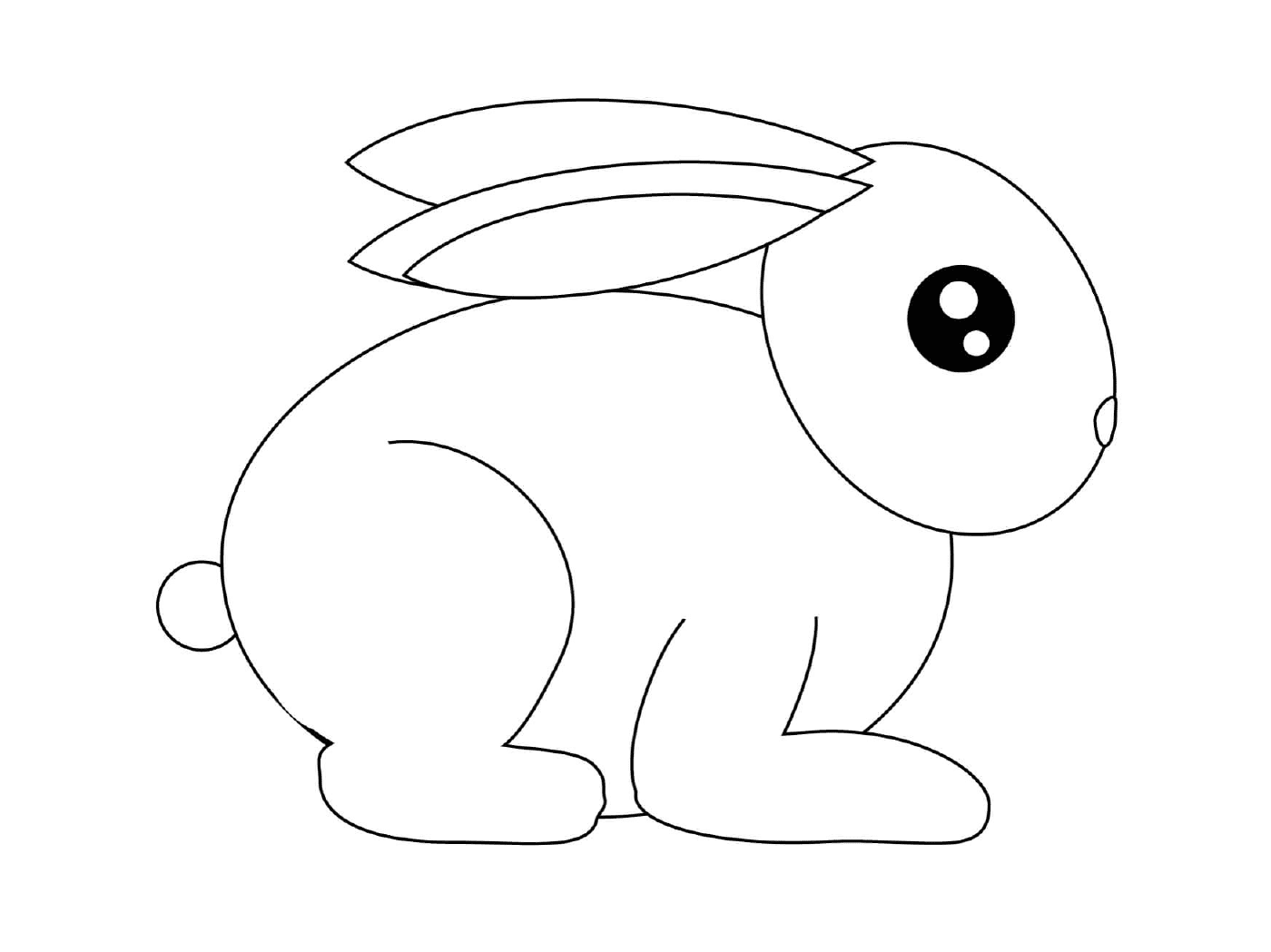  Piccolo coniglio pronto a correre 