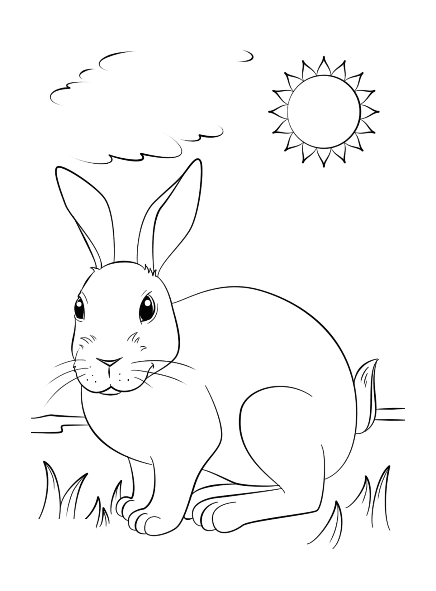  Conejo realista disfrutando del sol 