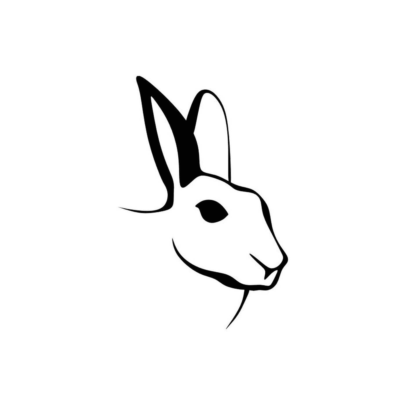  Cabeza de conejo 