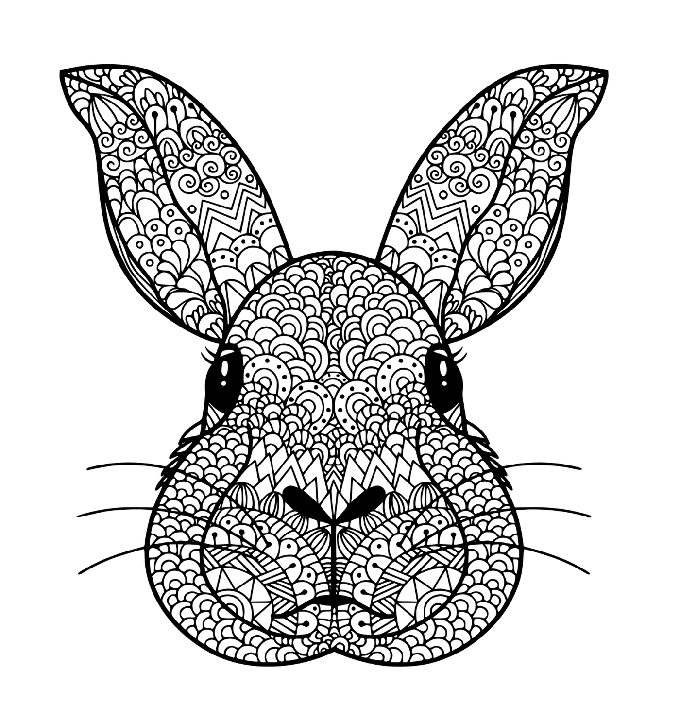  Cabeza de conejo de color 