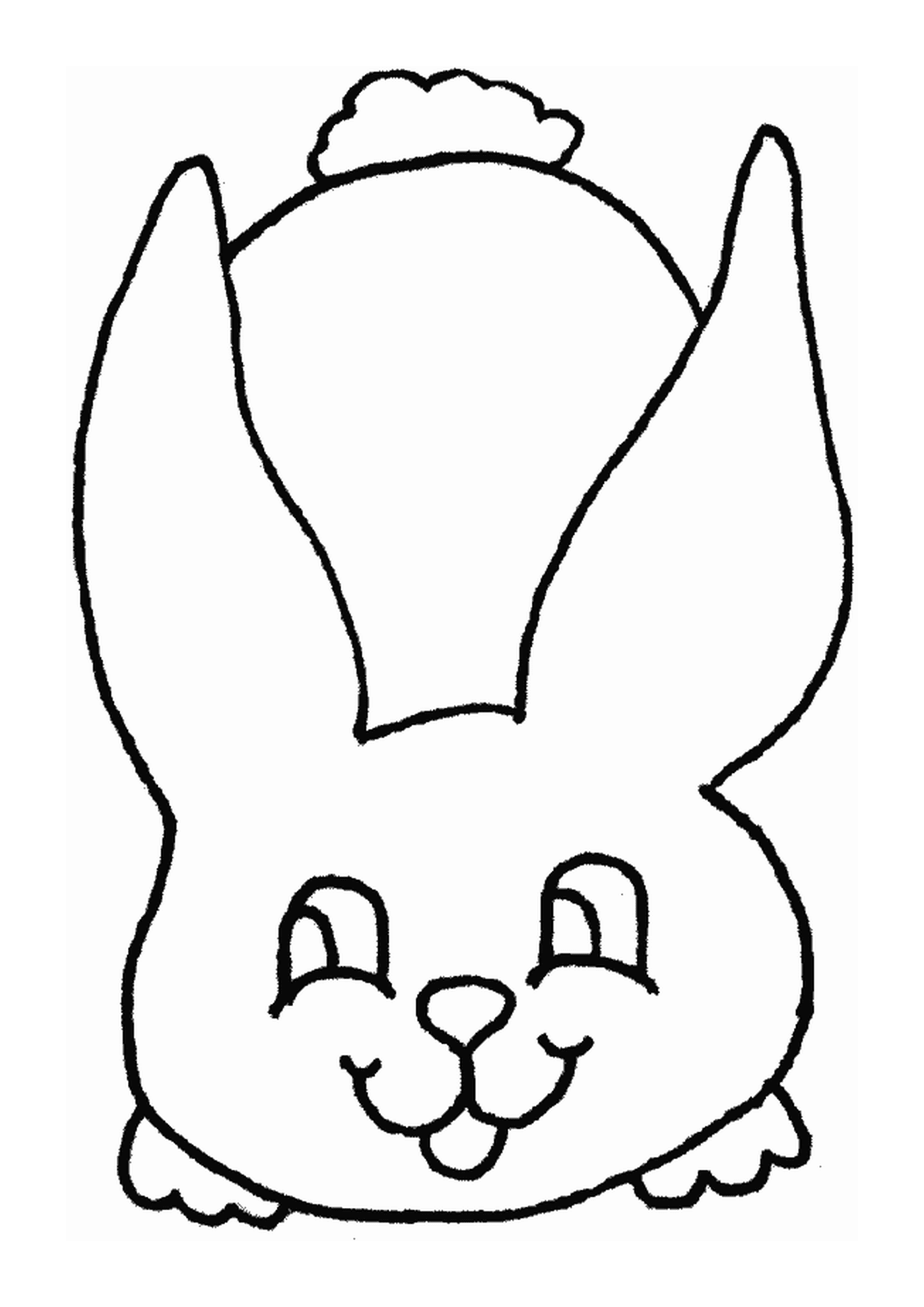  Conejo dibujado desde el frente 