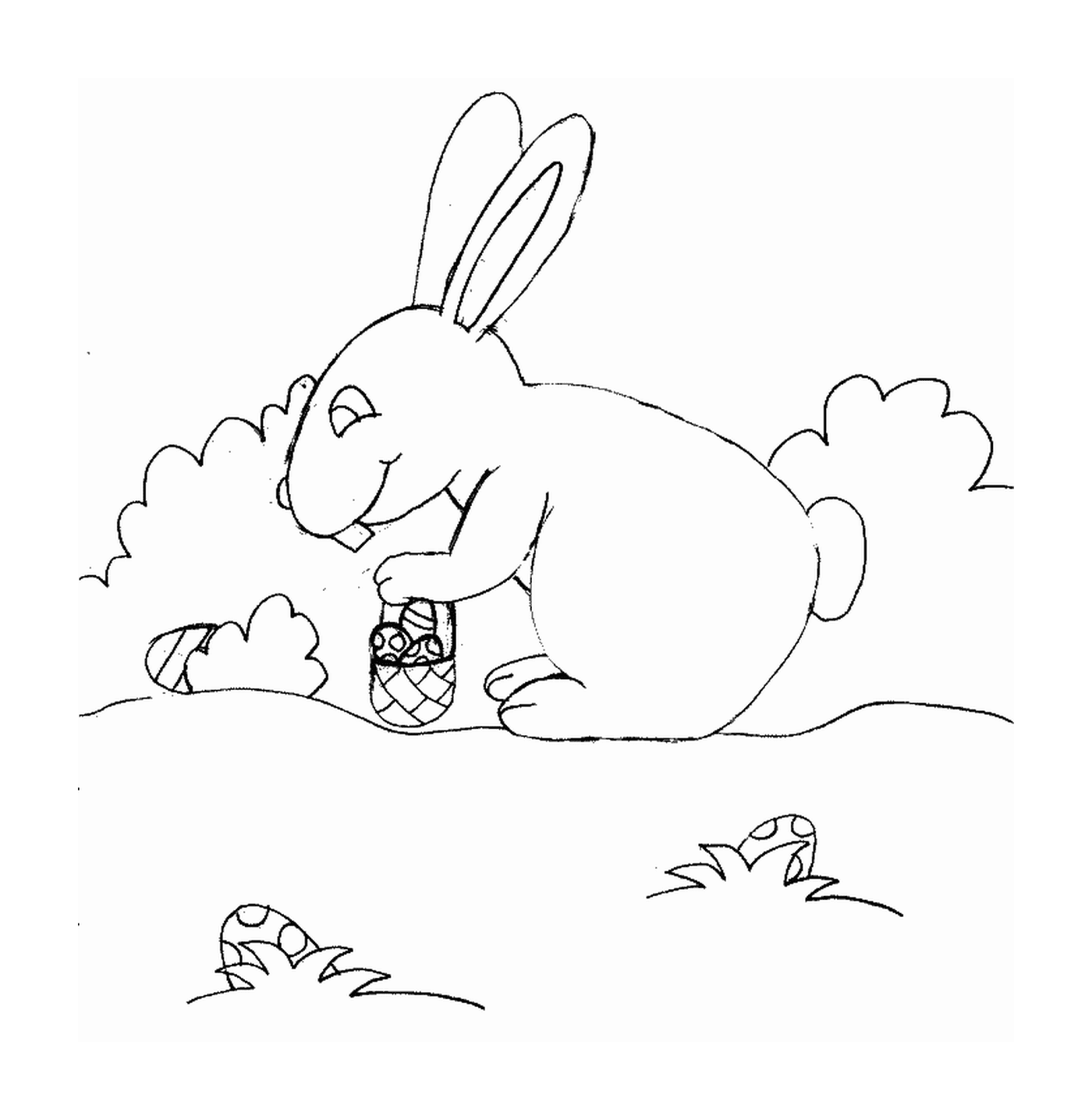  Conejo recogiendo chocolates 