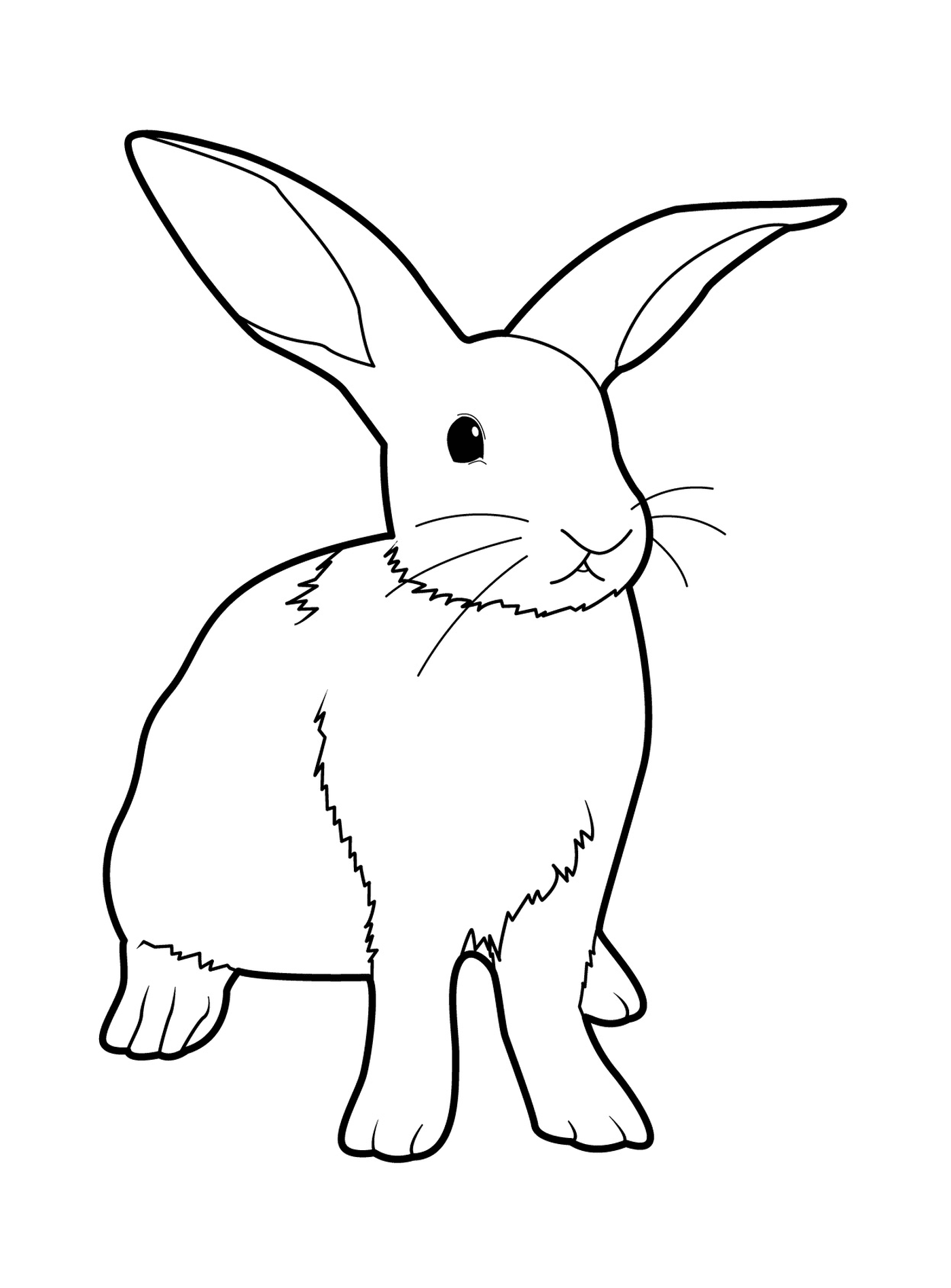  Realist rabbit standing 