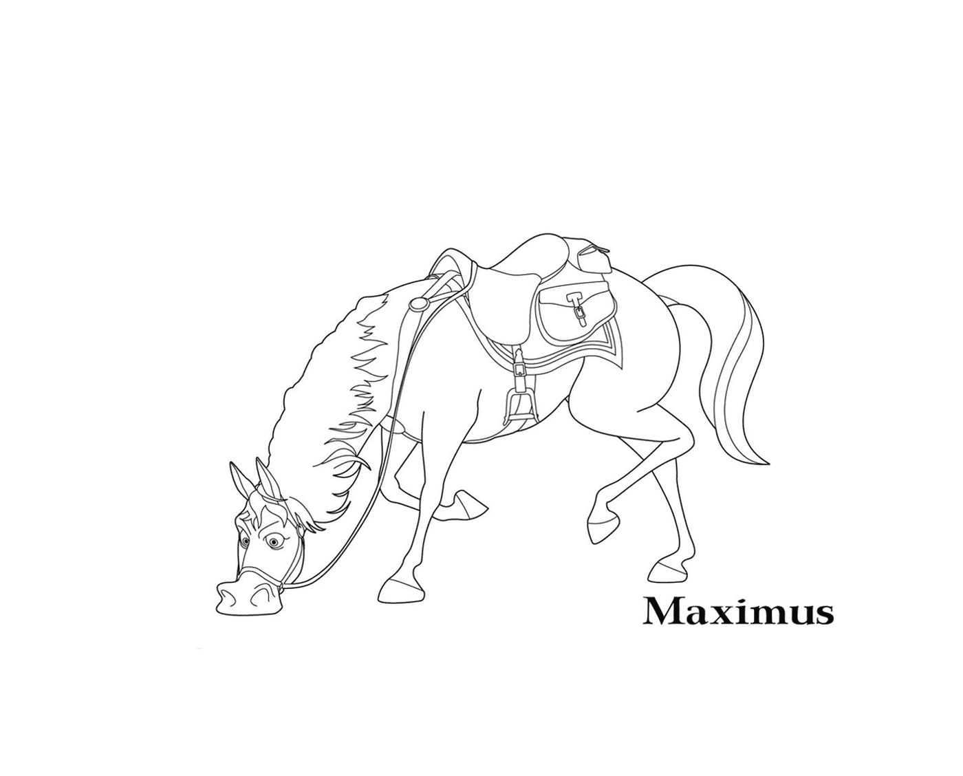  Raiponce, Maximus, faithful companion 