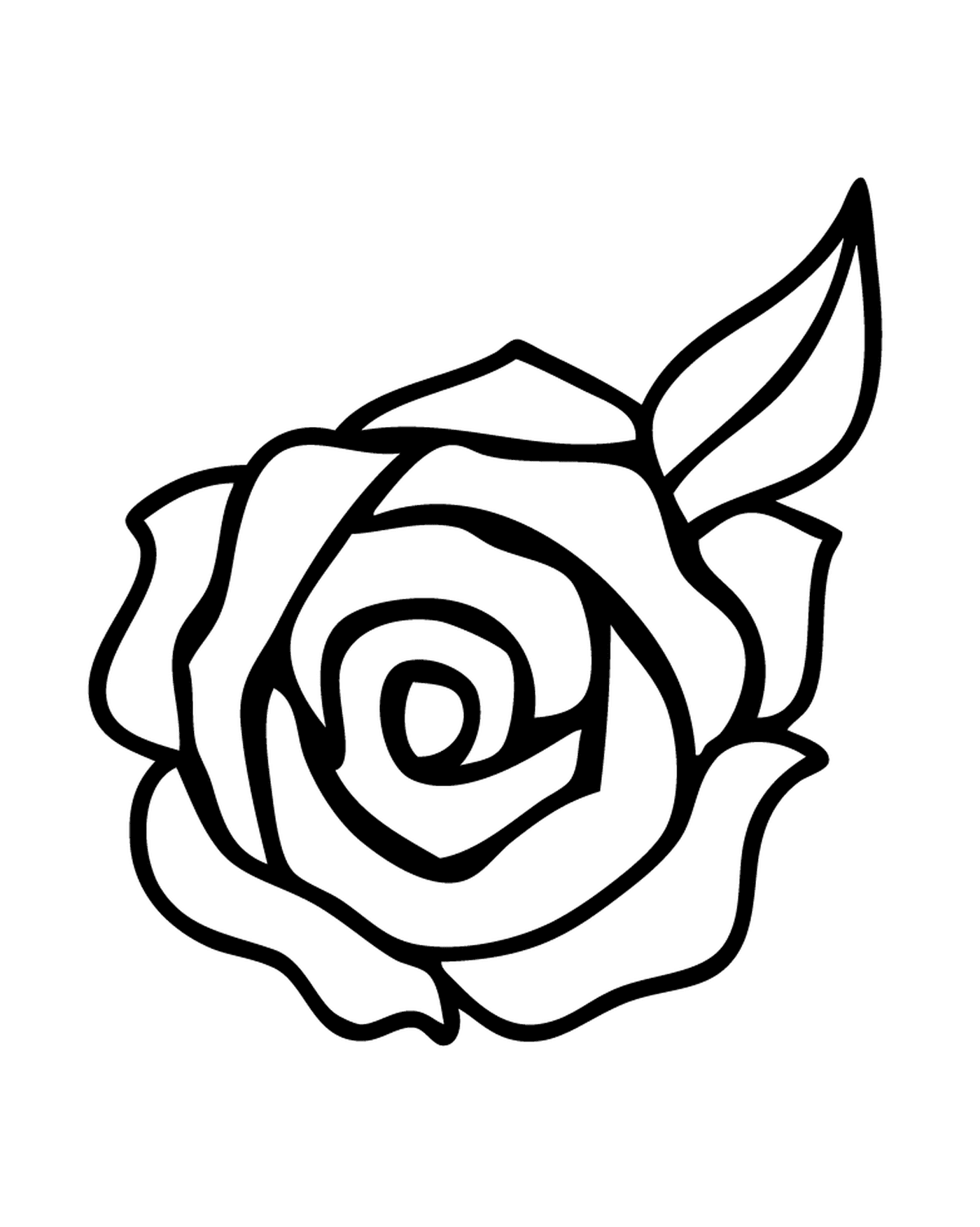  Rose eleganti al bouquet 