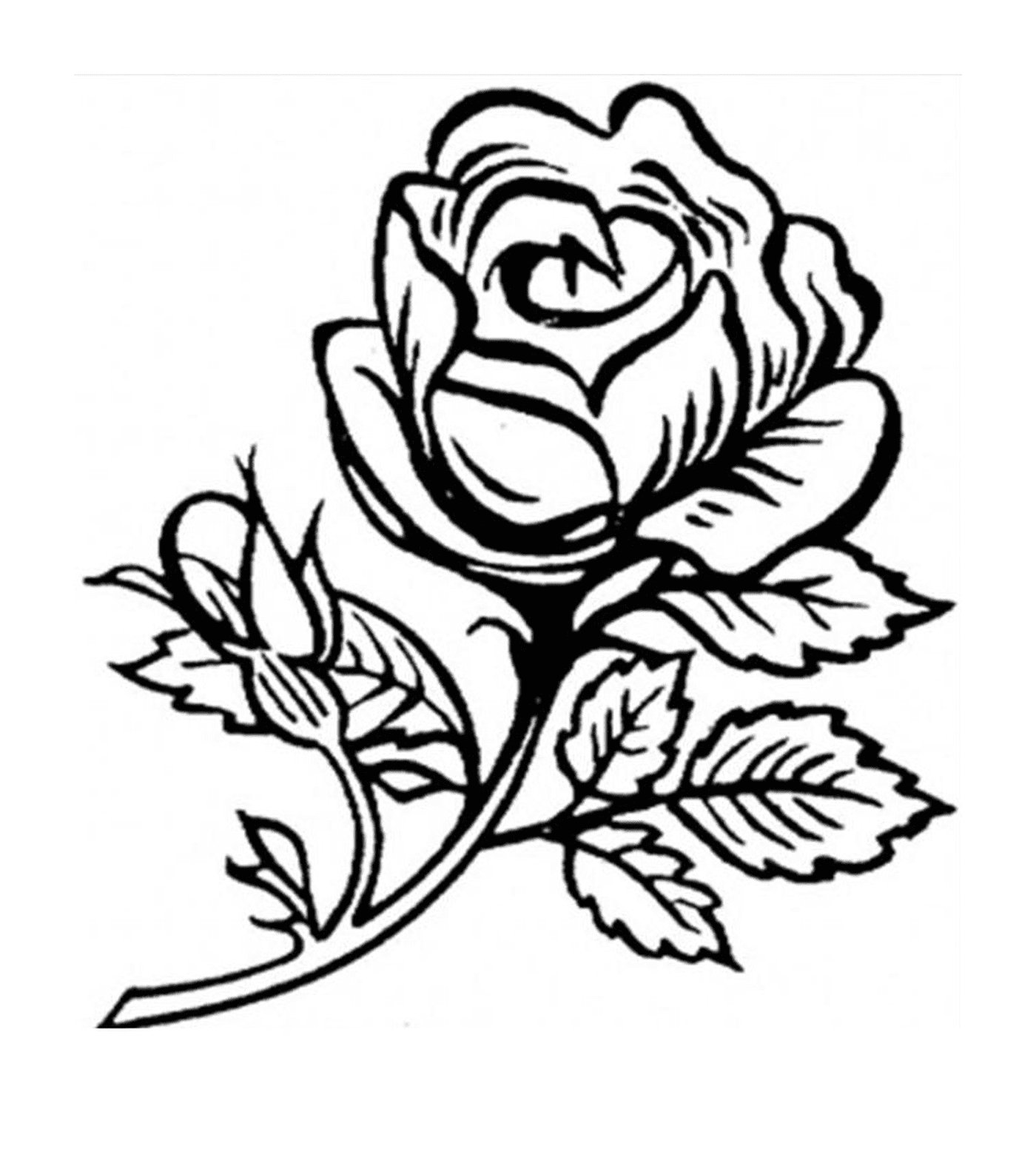  Bouquet von zarten Rosen 
