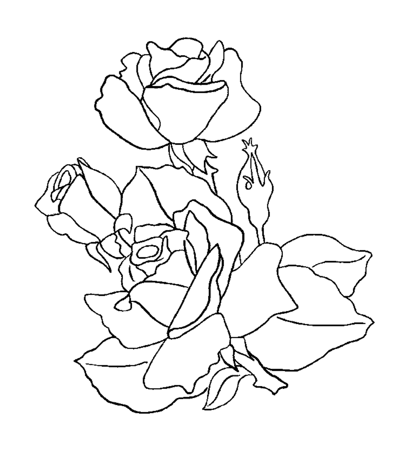  Notevole bouquet di rose 