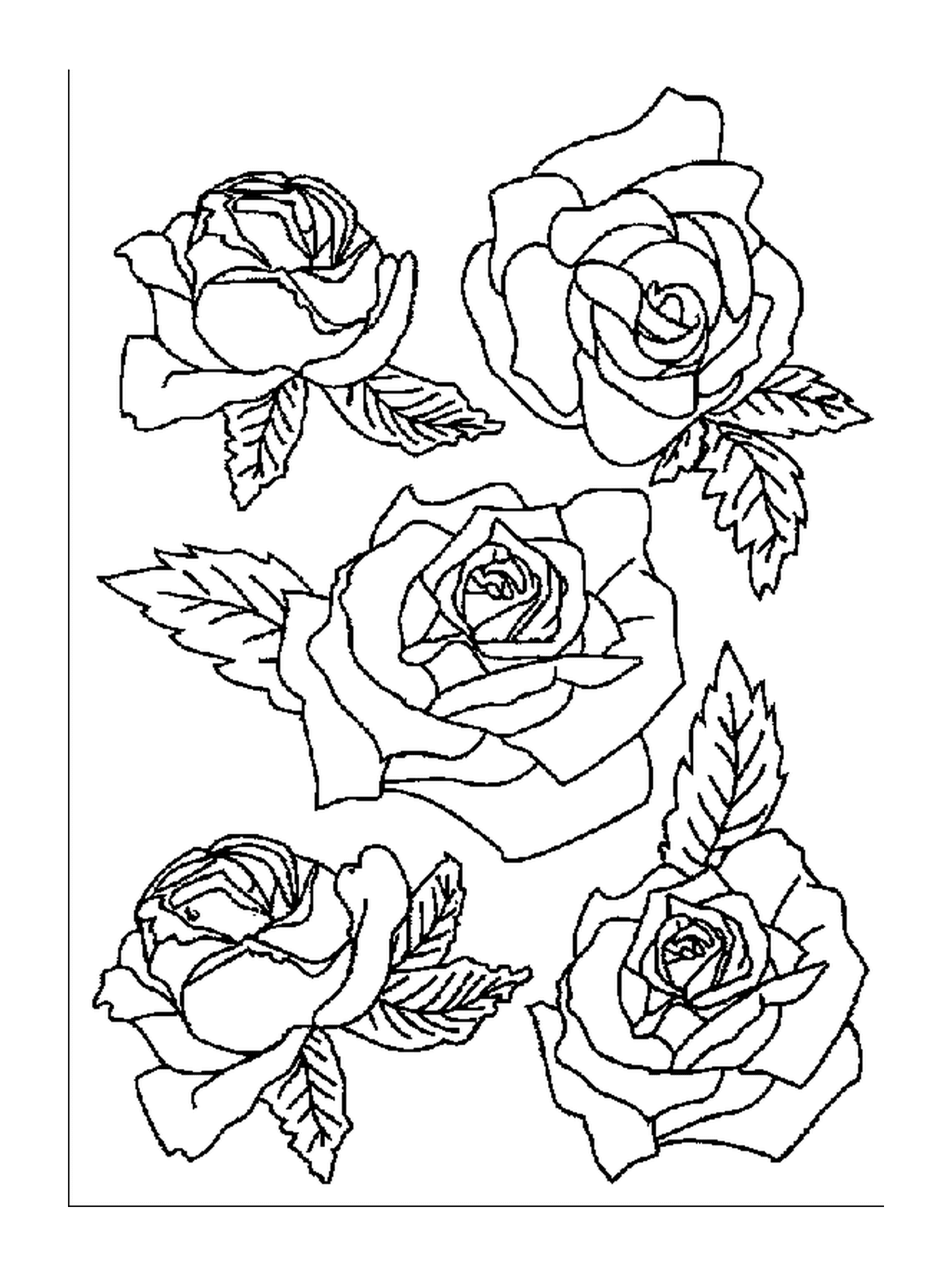  Bellissimo bouquet di rose 