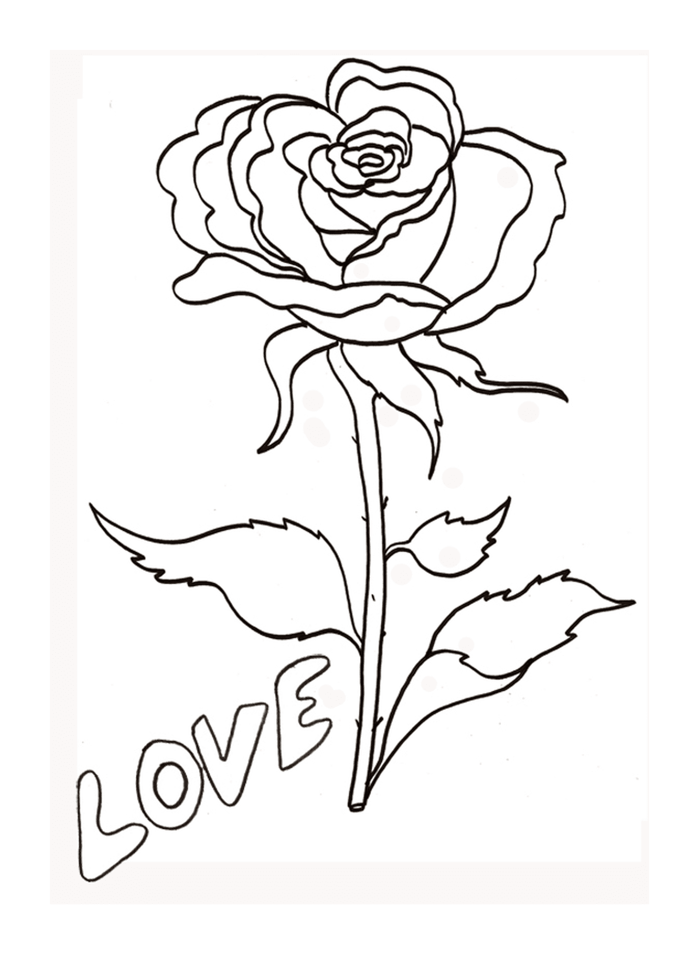  Rose with Love inscribed 