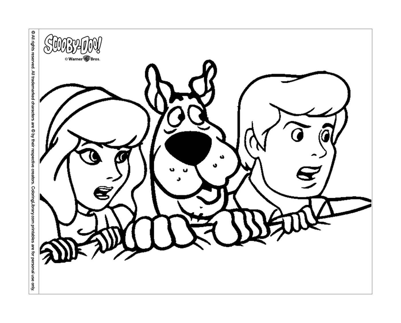 Scooby-Doo's band 