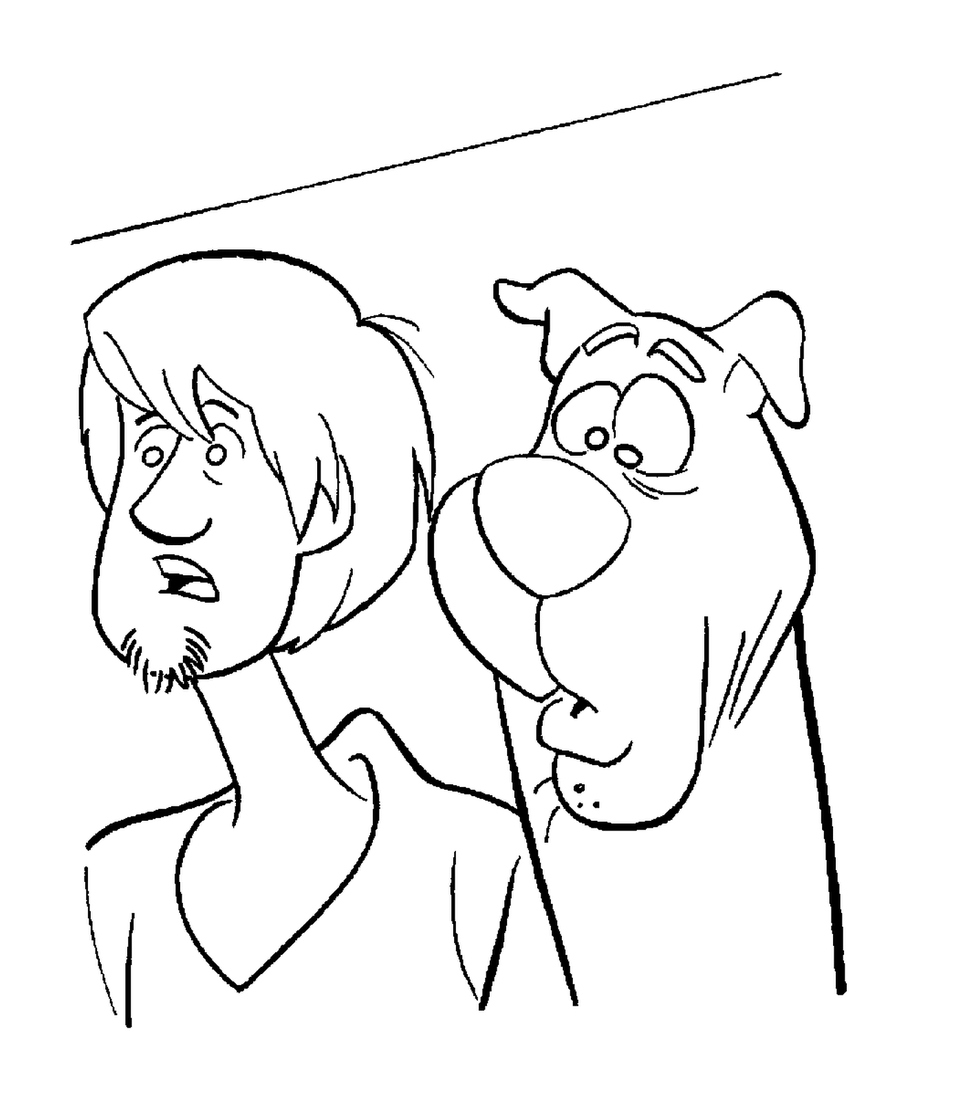  Shaggy and Scooby are lost 