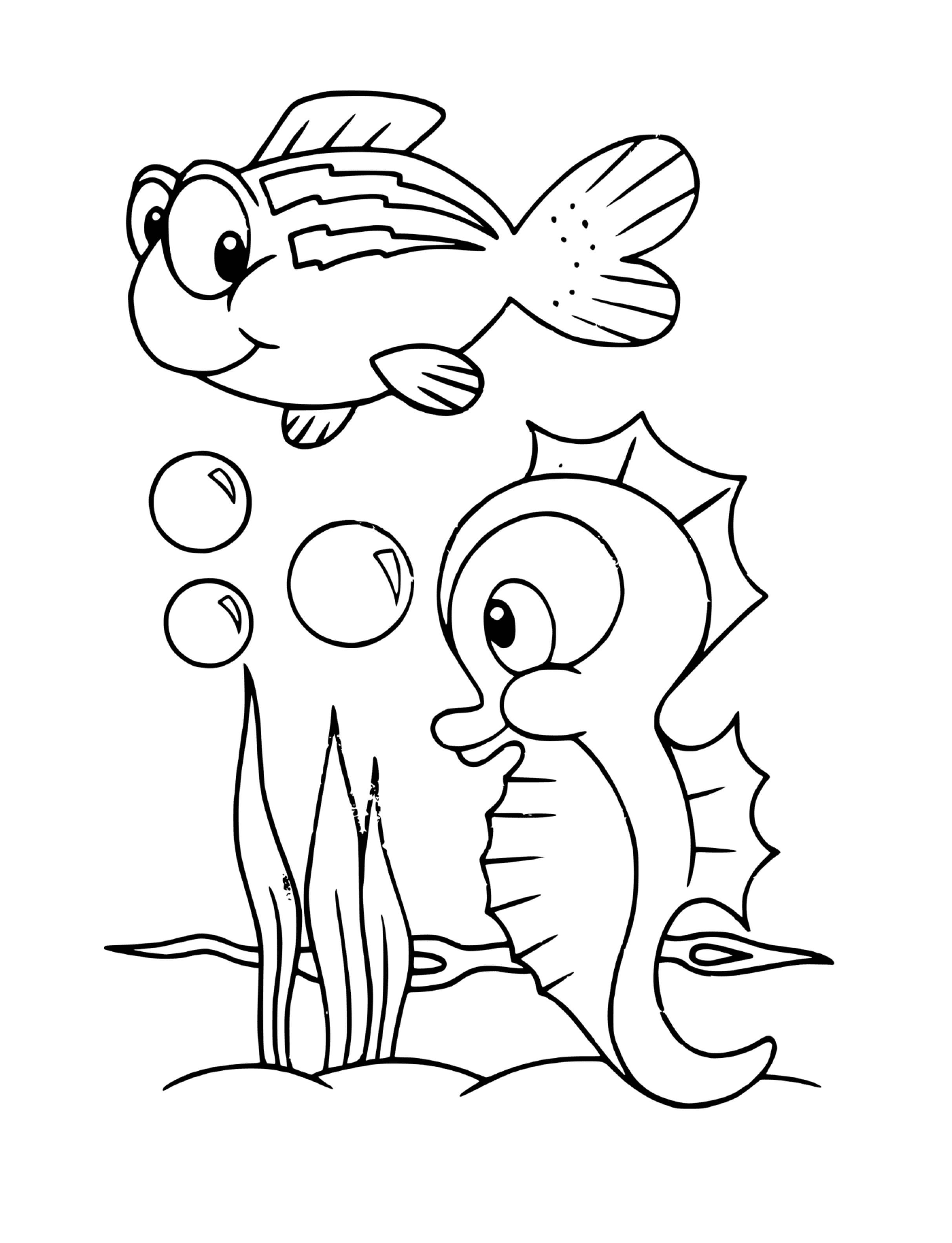  un pez y una tortuga caballito de mar 