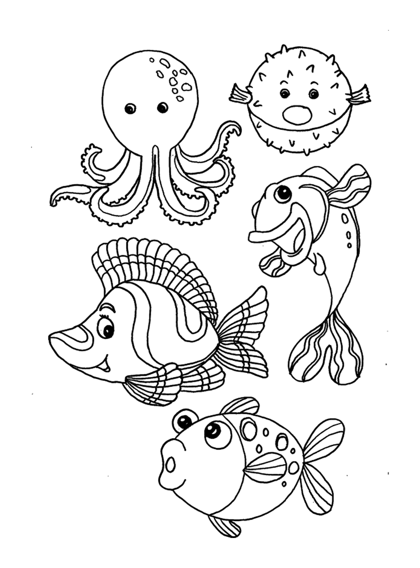  un conjunto de peces marinos 