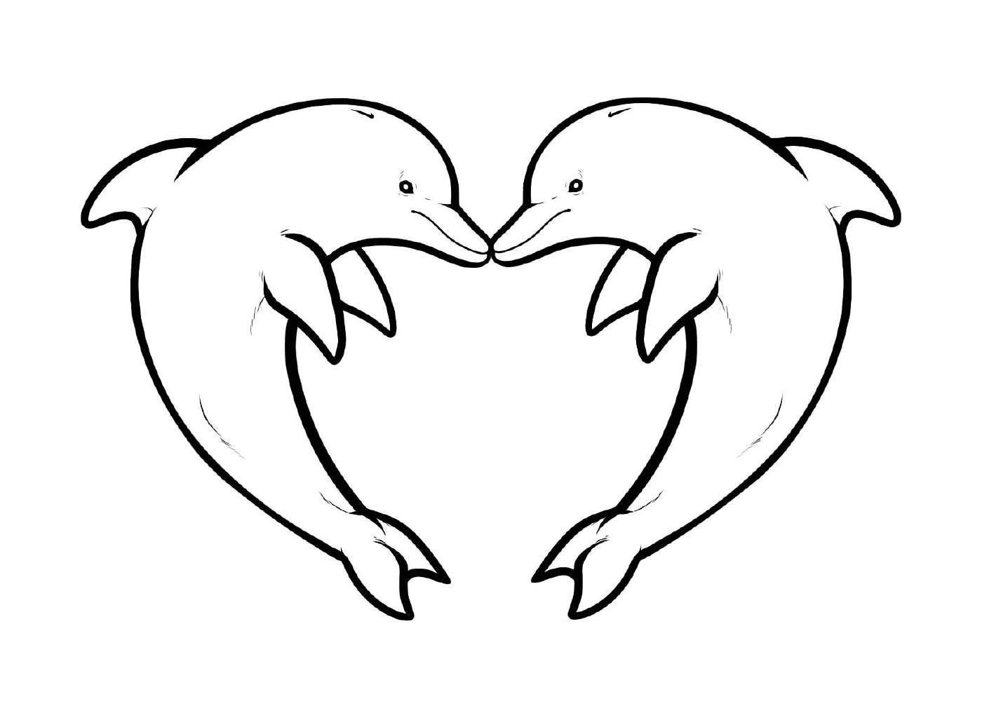  two dolphins forming the shape of a heart 