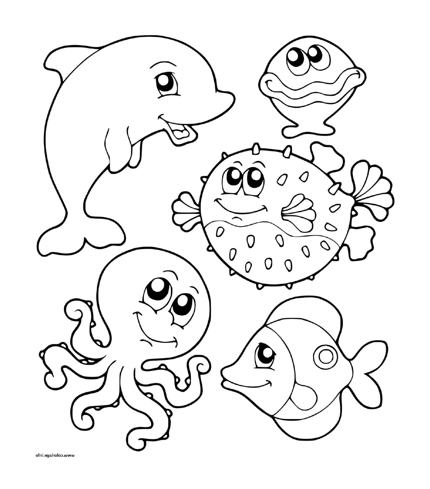  un grupo de animales marinos en el agua 