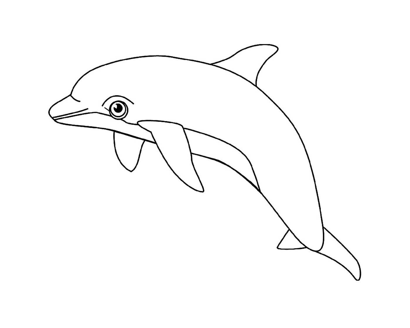  einem Wasserd Delphin 