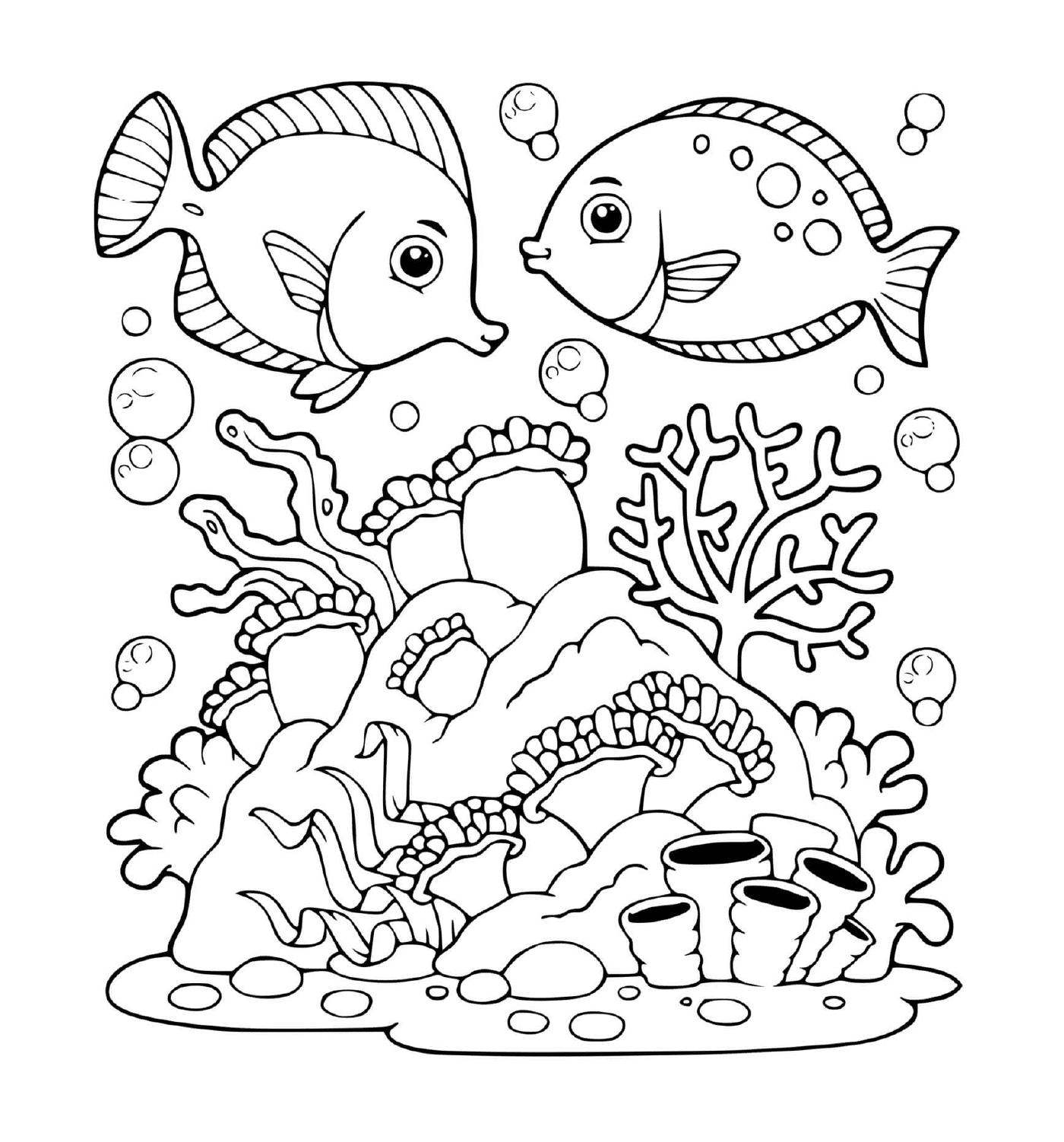  Two fishes in the water 
