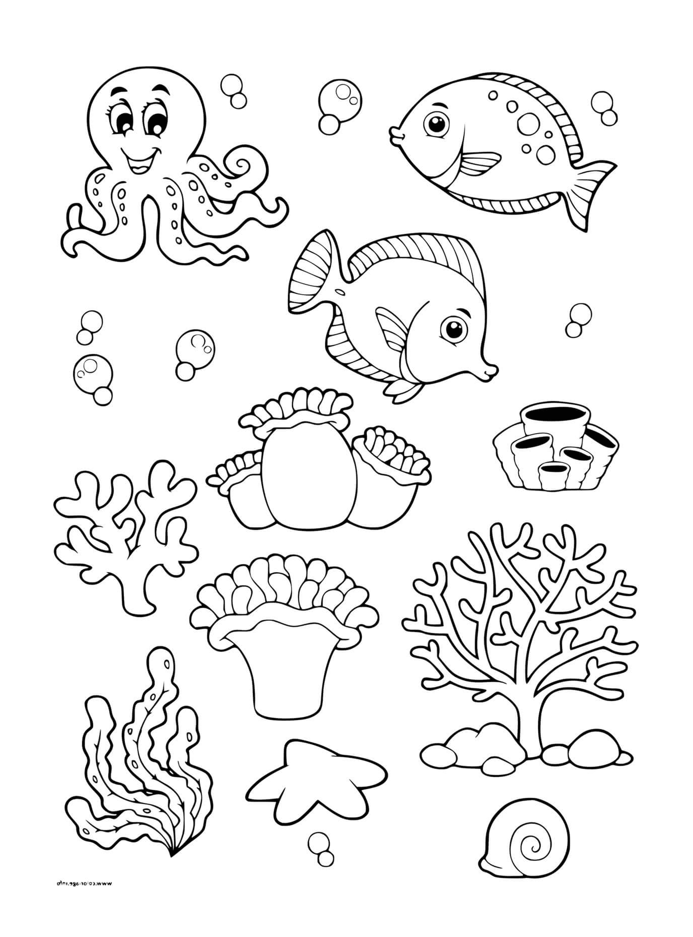  Fondo marino con vari animali marini 