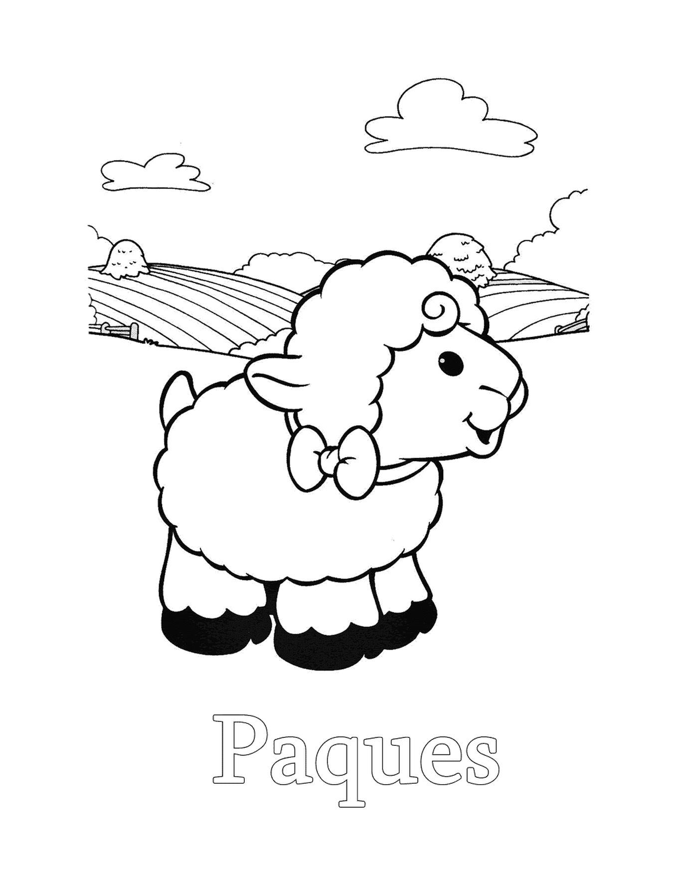  Schafe vor einem Feld 