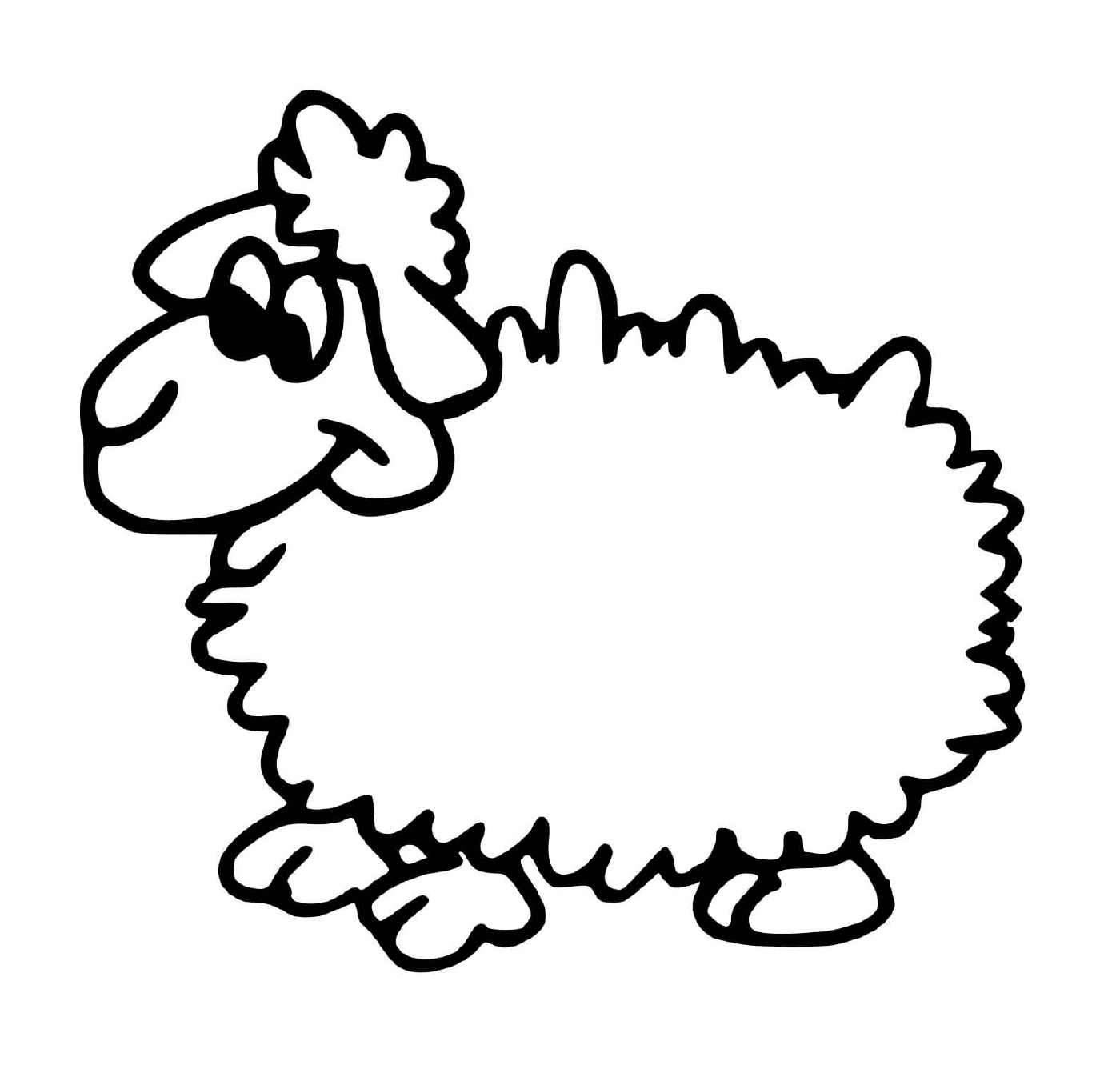  ein Schaf 
