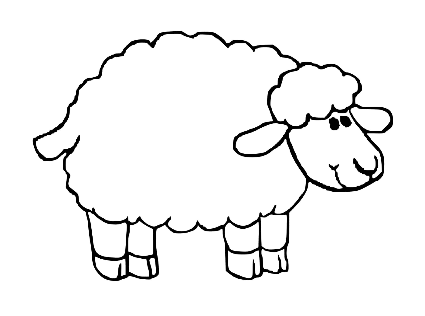  Sheep of friendly appearance 