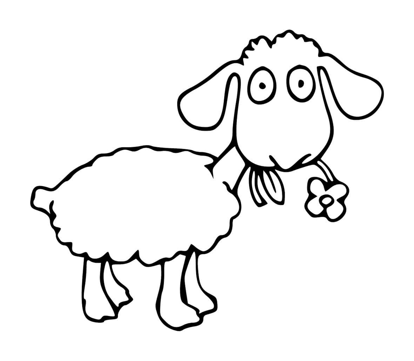  sheep eating a flower 