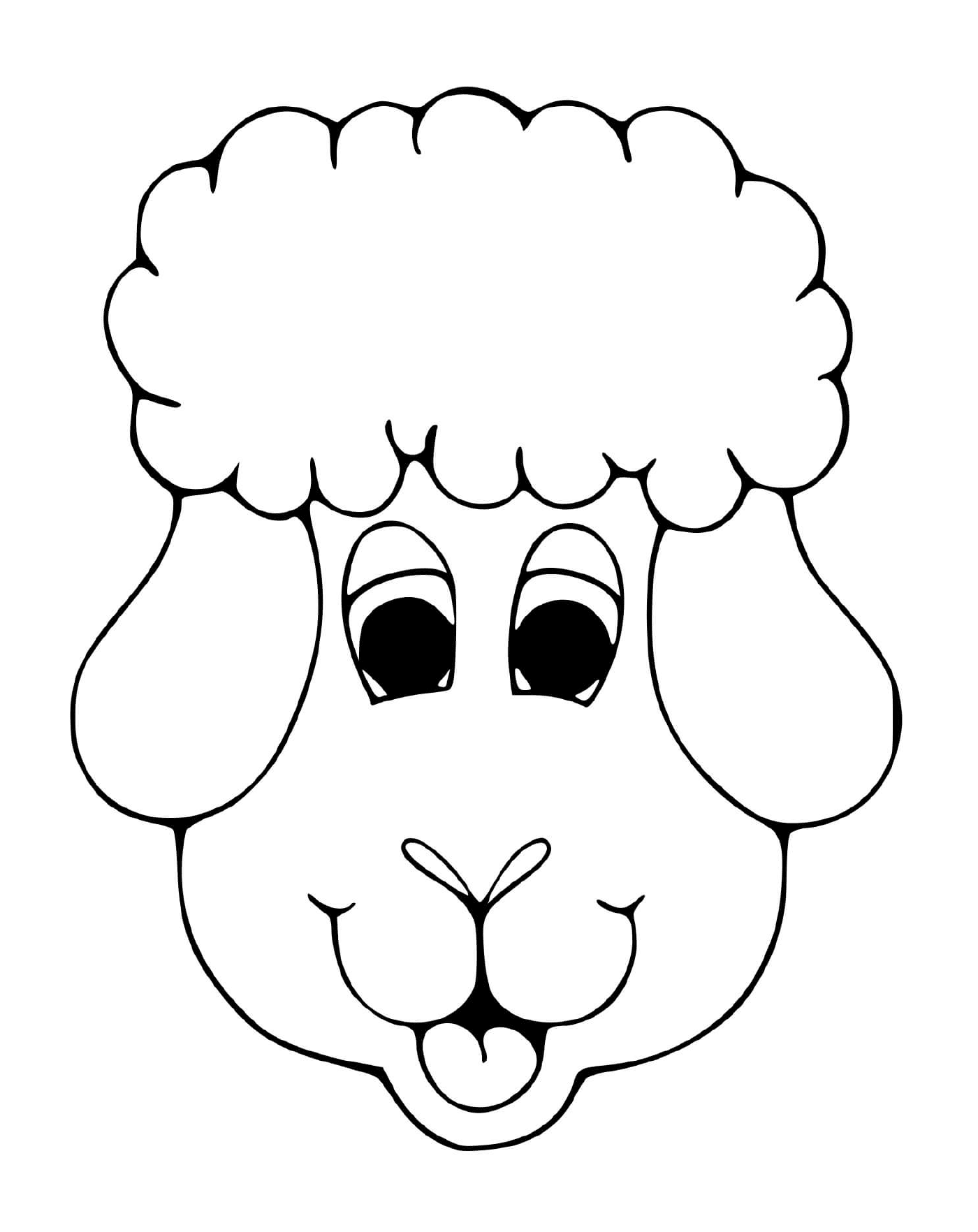  Sweet sheep's eye 
